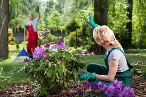 Tree surgery work carried out in Eel Pie Island riverside garden