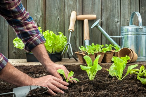Garden maintenance terms and conditions introduction