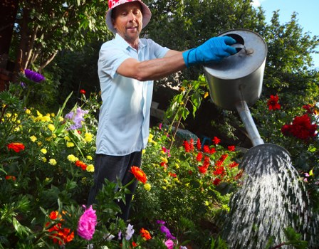 Garden care on Eel Pie Island with thoughtful landscaping