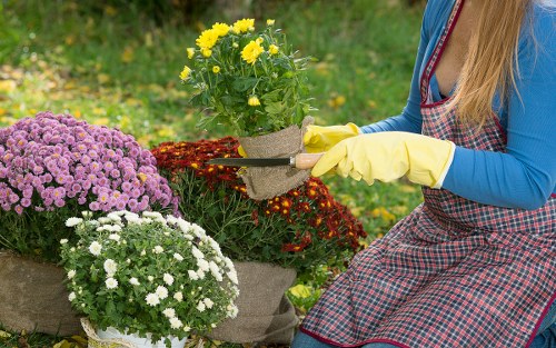 Riverside planting scheme for landscape gardening in Eel Pie Island