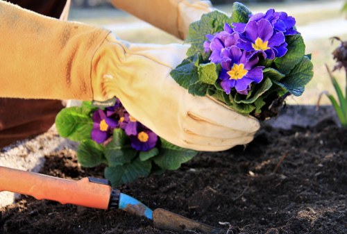 Inspection of gardening tools as part of safety procedures