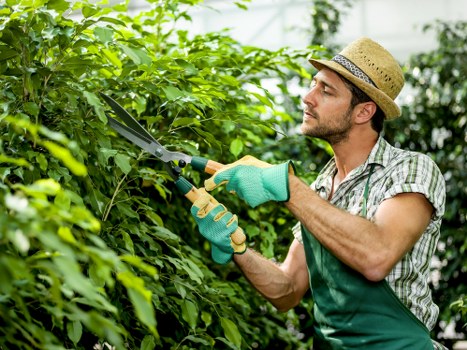 Local garden clearance service preparing an Eel Pie Island yard