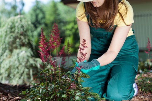 Waste disposal and environmental compliance in gardening work