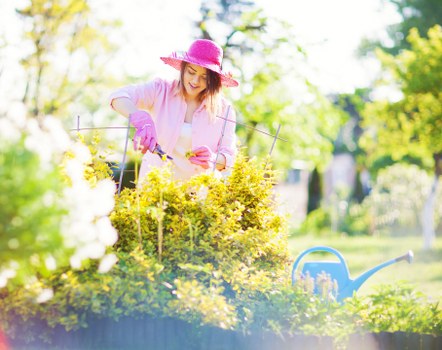 Initial assessment of gardener complaint