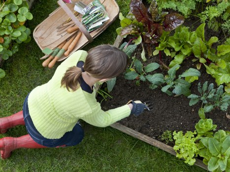 Charity donation of reusable garden items and materials