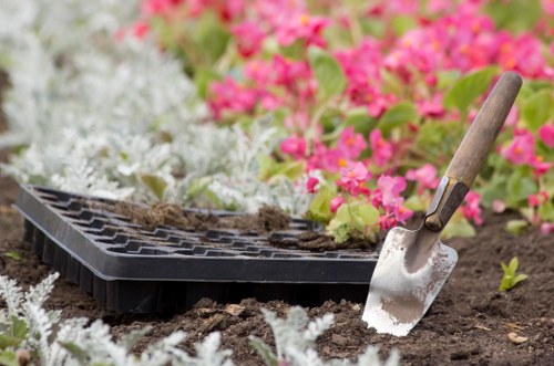Seasonal lawn maintenance in Eel Pie Island garden area