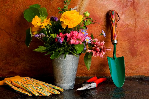 A professional gardening team using trained safety procedures