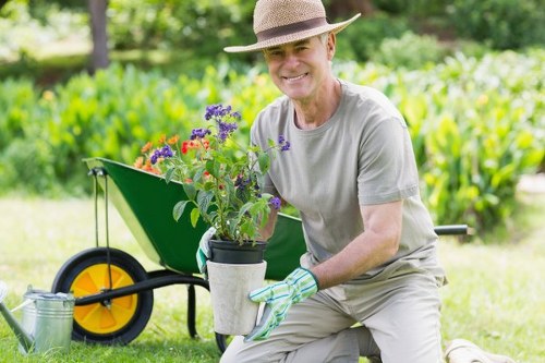 Professional garden restoration on Eel Pie Island