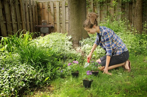 Seasonal garden upkeep on Eel Pie Island with lawns, beds, and neat paths