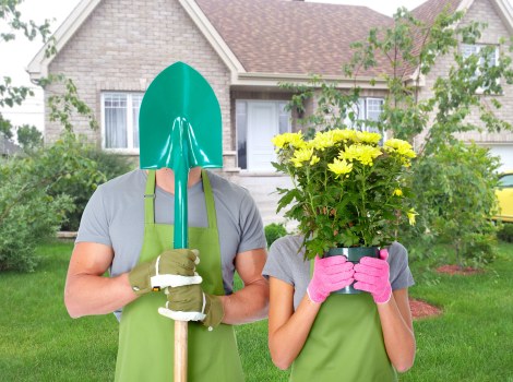 Local gardening service improving an island garden with shrubs and seasonal care