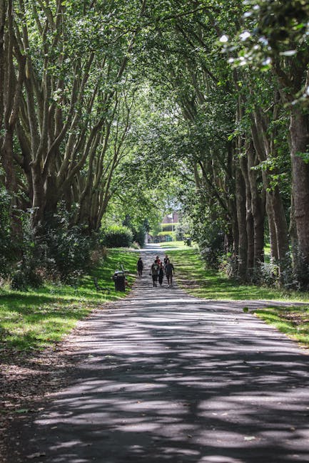 A shaded pathway lined with tall, leafy trees on both sides, forming a natural canopy overhead with sunlight filtering through the branches and leaves. The path has a textured surface with patches of 