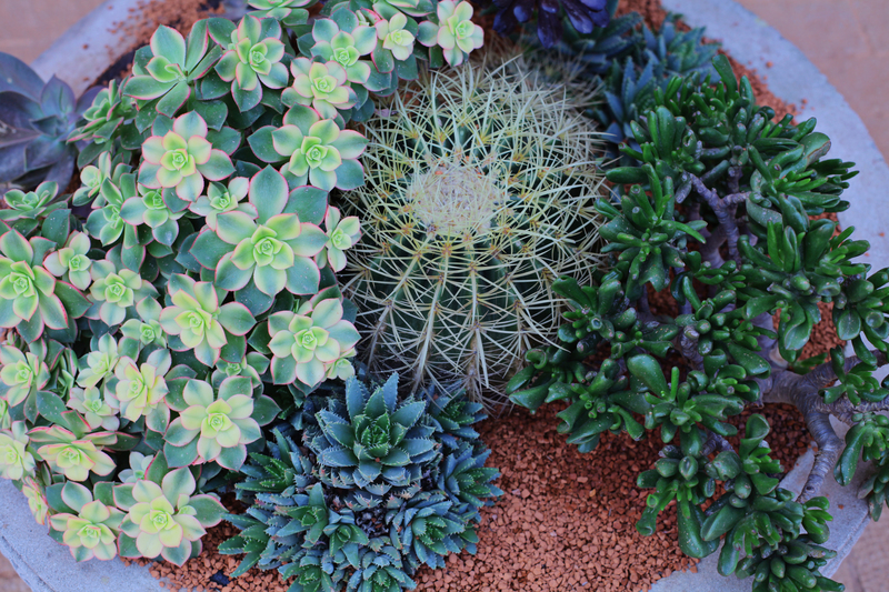 garden home