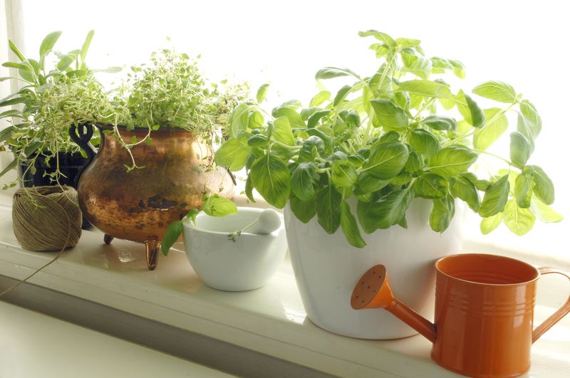professional gardening Garden